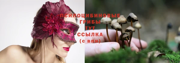 мет Липки