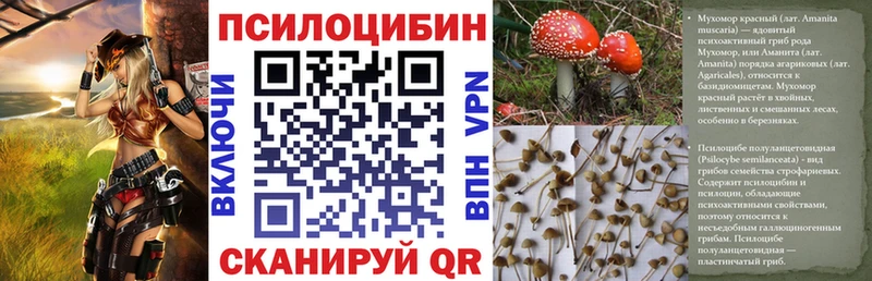 Галлюциногенные грибы GOLDEN TEACHER  Купить  Новоалександровск 